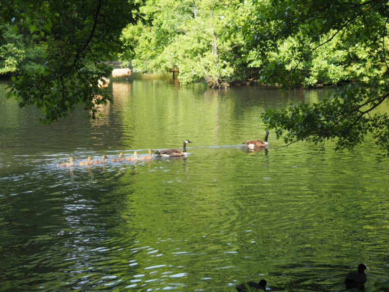 au Havre, en Normandie